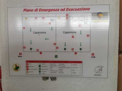 Piano Evacuazione Emergenza Maviflex